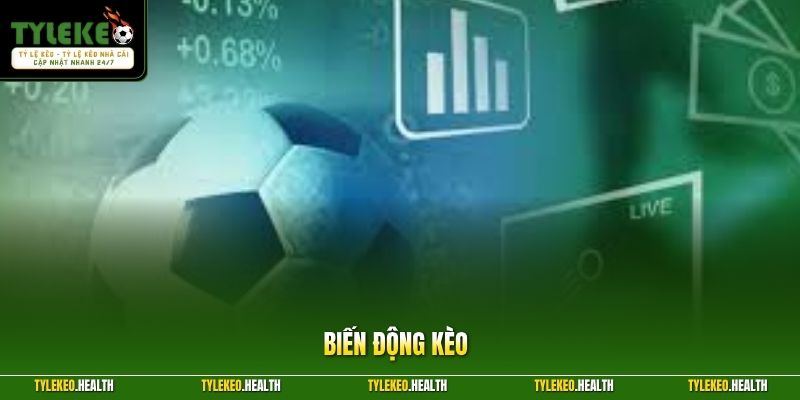 Biến Động Kèo - Cách Theo Dõi Tỷ Lệ Kèo Chính Xác, Hiệu Quả