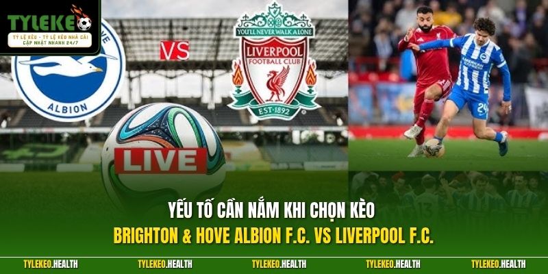 Yếu tố cần nắm khi chọn kèo Brighton & Hove Albion F.C. vs Liverpool F.C.